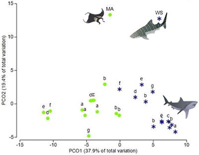 Assessing the Functional Limitations of Lipids and Fatty Acids for Diet Determination: The Importance of Tissue Type, Quantity, and Quality